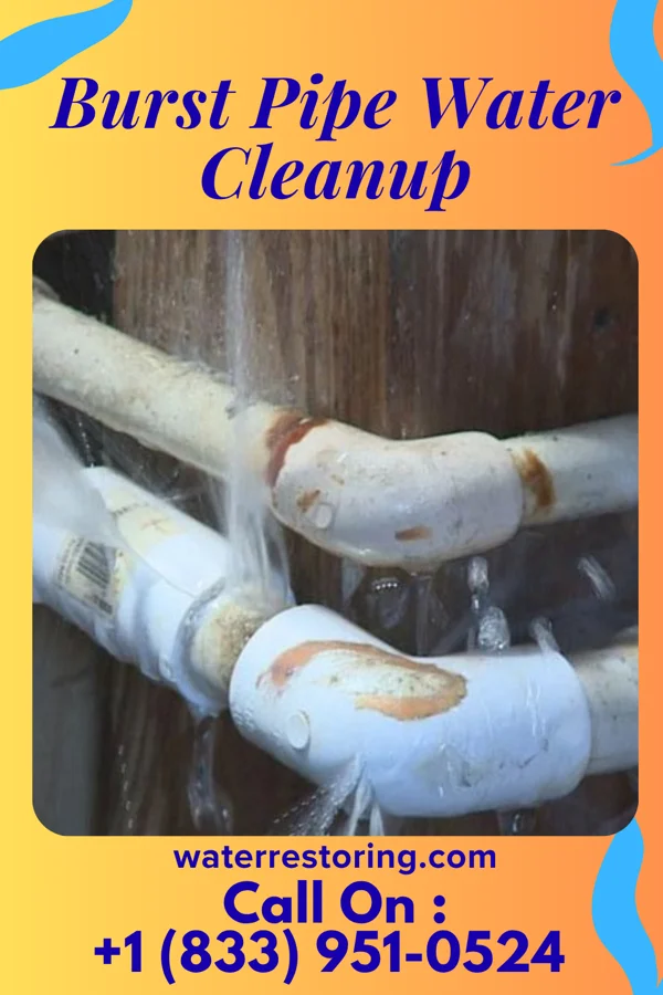 Burst Pipe Water Cleanup in Atkins, IA