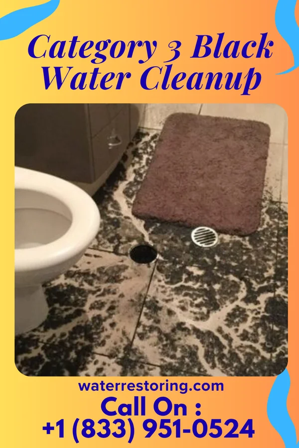 Category 3 Black Water Cleanup in Atkins, IA