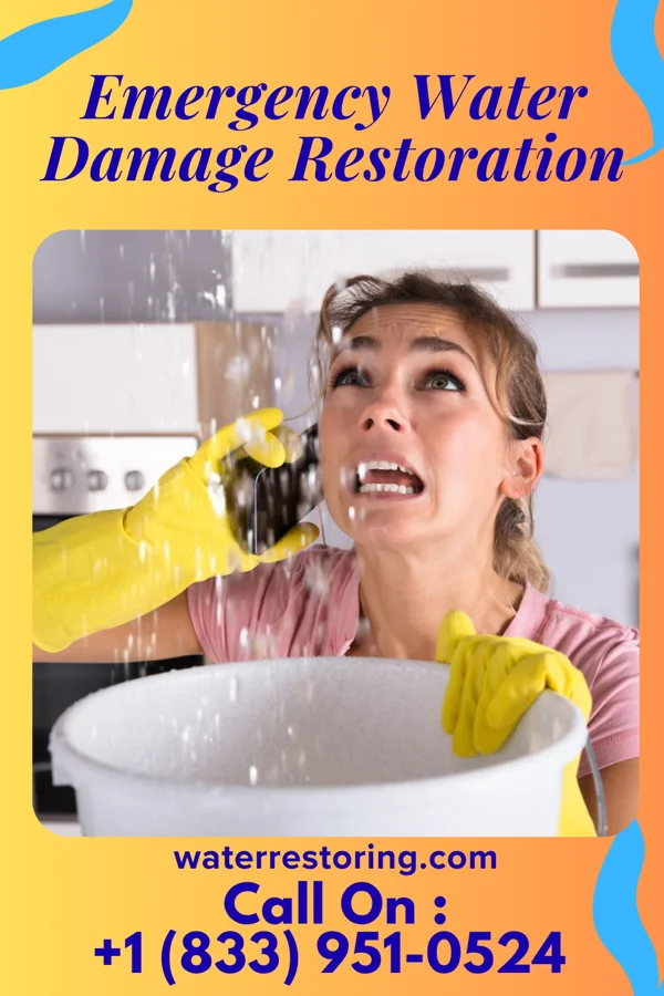 Emergency Water Damage Restoration in Atkins, IA